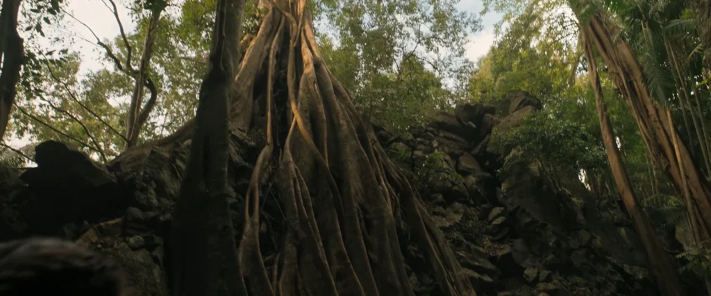 The Bluff 2026 Hindi Dual Audio WEB-DL 1080p